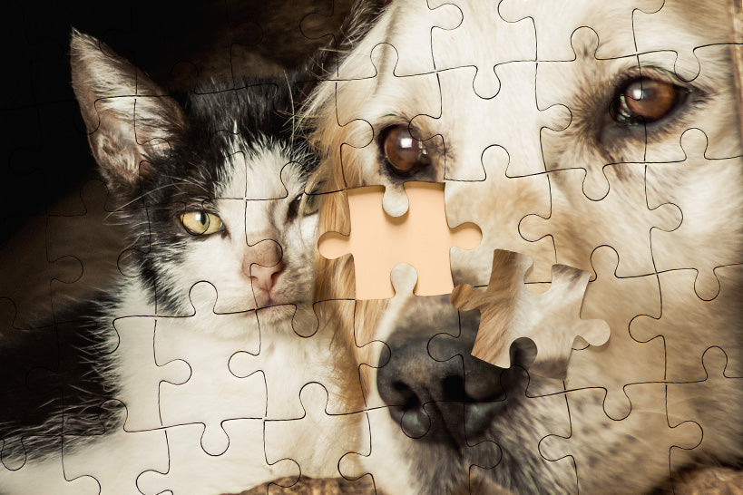 Custom Photo Puzzle – Personalized Jigsaw Puzzle from Your Picture